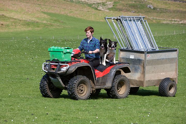 Sarah Boden: Transporting sheepdogs Dave and Isla