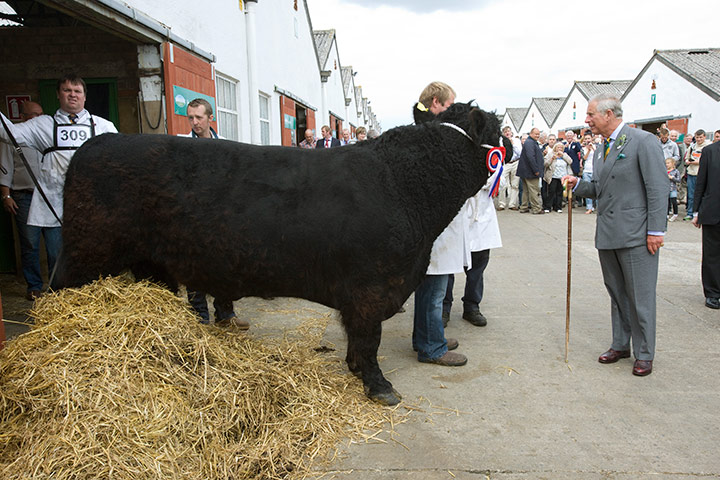 Prince Charles: rare breeds