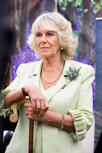 Prince Charles: Camilla, Duchess of Cornwall