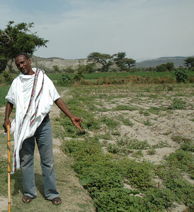 MDG Farmers case studies: CASE STUDIES LAKE ZIWAY, RIFT VALLEY, ETHIOPIA