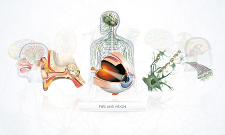 The Human Body - iPad