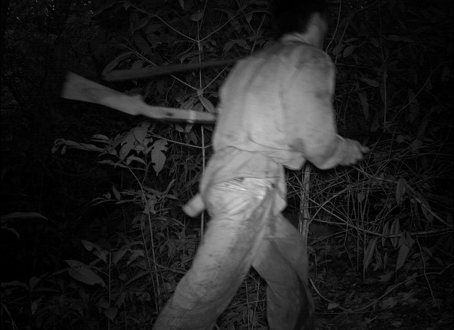 Candid camera : First Global Camera Trap Mammal Study done by TEAM network