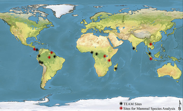 Candid camera : First Global Camera Trap Mammal Study done by TEAM network