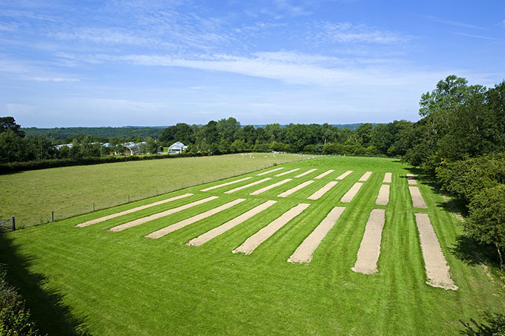 Native Seed Hub: Kew’s Millennium Seed Bank launches UK Native Seed Hub