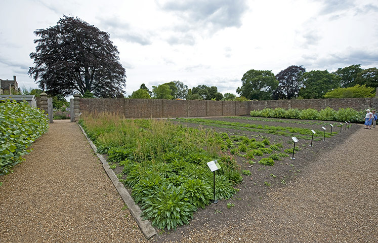 Native Seed Hub: Kew’s Millennium Seed Bank launches UK Native Seed Hub