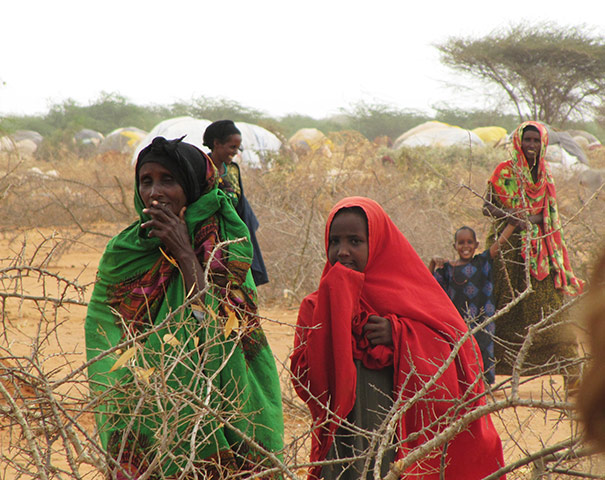 Week in pics: Davis: Refugees outside the Dadaab camp