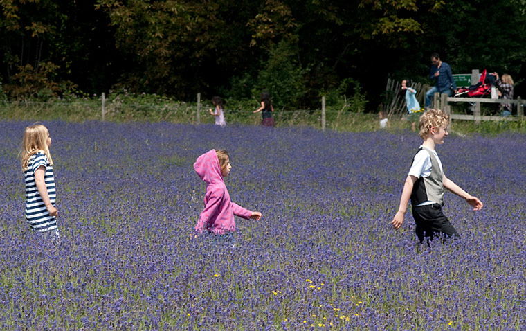 Guardian Camera Club: Eric Hands participates in the summer events assignment