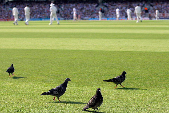 cricket: Gautam Gambhir