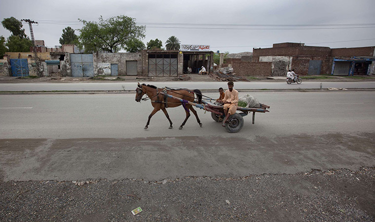 FTA: Adrees Latif   : A man and boy ride a horse and cart past the same location in Nowshera