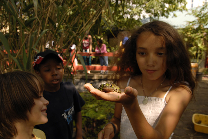 Playday: Beastie hunting