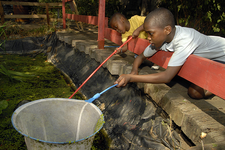Playday: Pond dipping