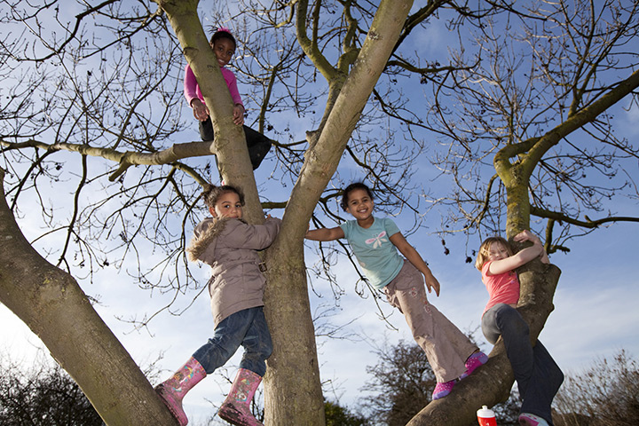 Playday: Tree climbing