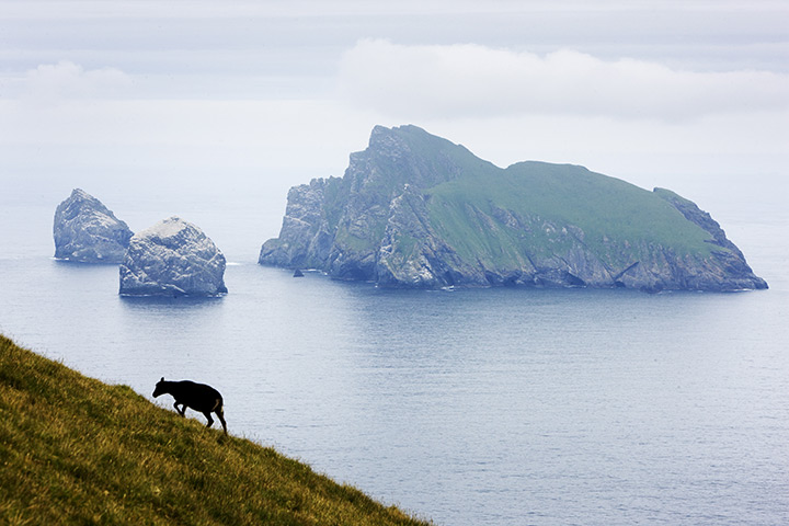 St Kilda: Stac an Armin, Stac Lee and Boreray seen from Hirta