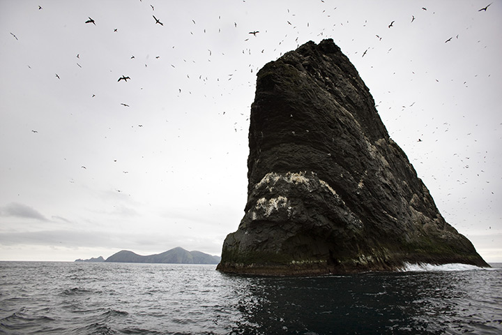 St Kilda: Stac an Armin, the highest sea stack in Scotland and the British Isles