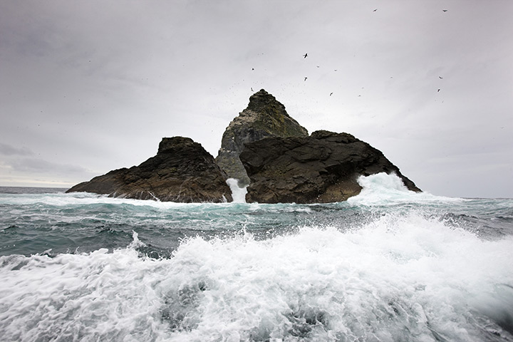 St Kilda: Stac an Armin