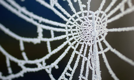 Using the web and social media to interact with tenants.