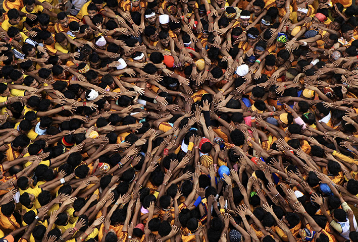 Krishna festival: Mumbai, India: Indian youth make a human pyramid