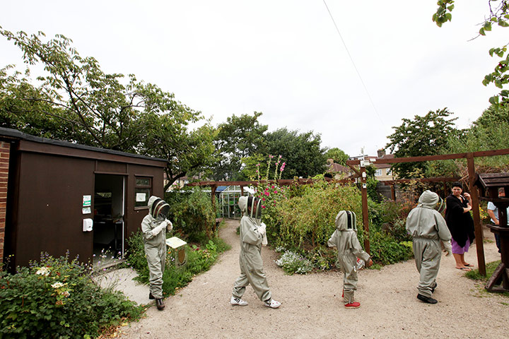 Bee-keeping club: young bee-keepers