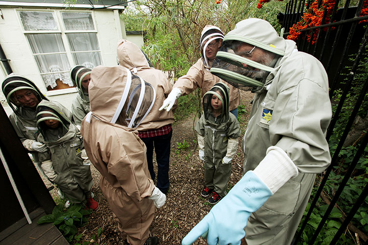 Bee-keeping club: head bee-keeper