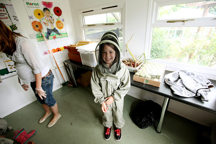 bees: bee-keeping in schools