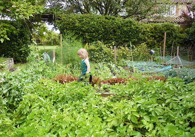 Week in pics: Rob da Bank: vegetable patch