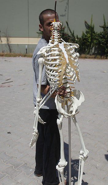 Bab al-Aziziya, Tripoli: A robbed  human skeleton model , Bab al-Aziziya, Tripoli