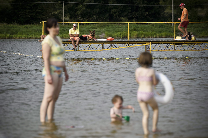 24 hours in pictures: Dog-lifeguard Brutus uty on a hot summer day in Kranobrod, Poland