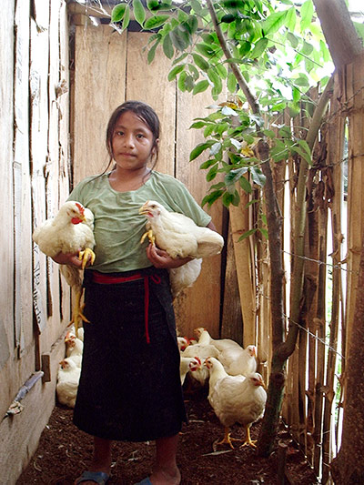 Fotokids: 20 years of tackling poverty with photography