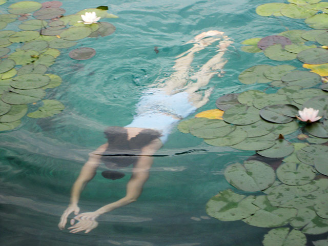 In pictures: serene: swimming through water lilies