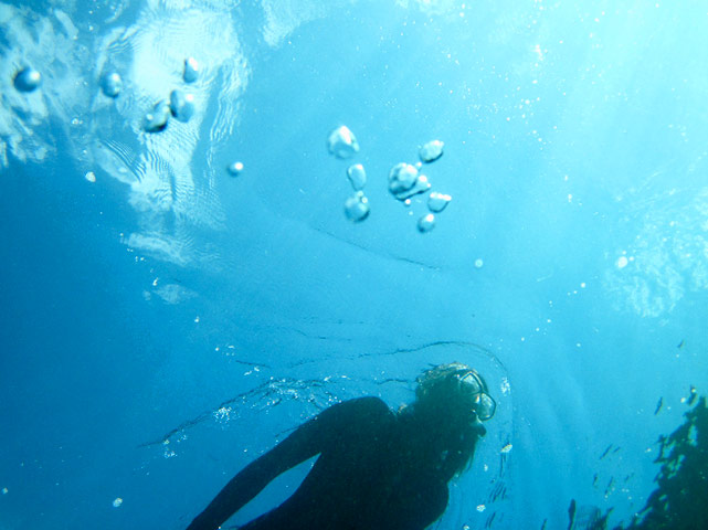 In pictures: serene: clear waters of south Devon