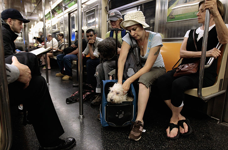 Hurricane Irene: Hurricane Irene arrives on the East Coast