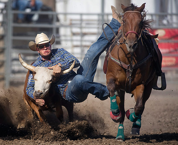 24 hours in pictures: Trey Huff attempts to gain control of a steer at the Colorado State Fair