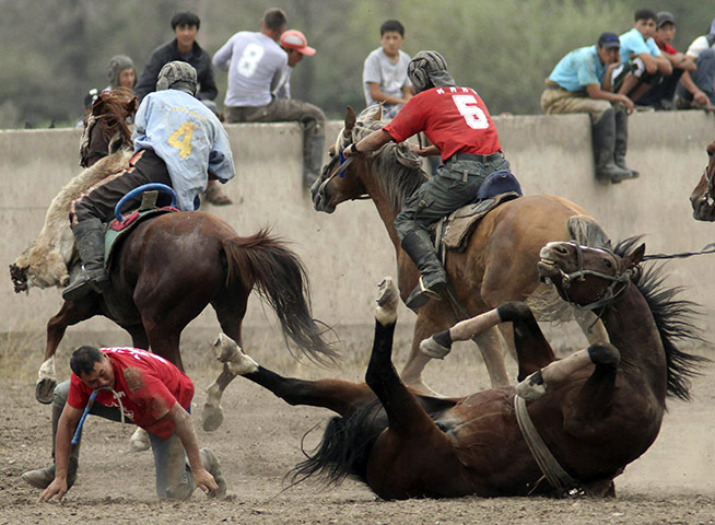 24 hours: Bishkek, Kyrgyzstan: A horseman falls with his horse during Kok-boru