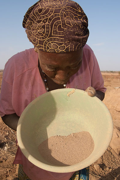 Tree Aid: Fight Against The Effects Of Community Gold Mining In Burkina Faso