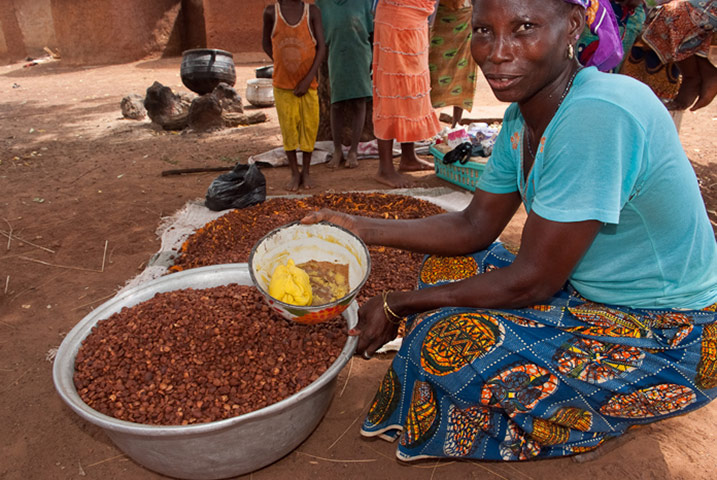Tree Aid: Fight Against The Effects Of Community Gold Mining In Burkina Faso