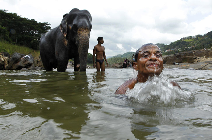 24 hours in pictures: a mahout bathes his elephant 