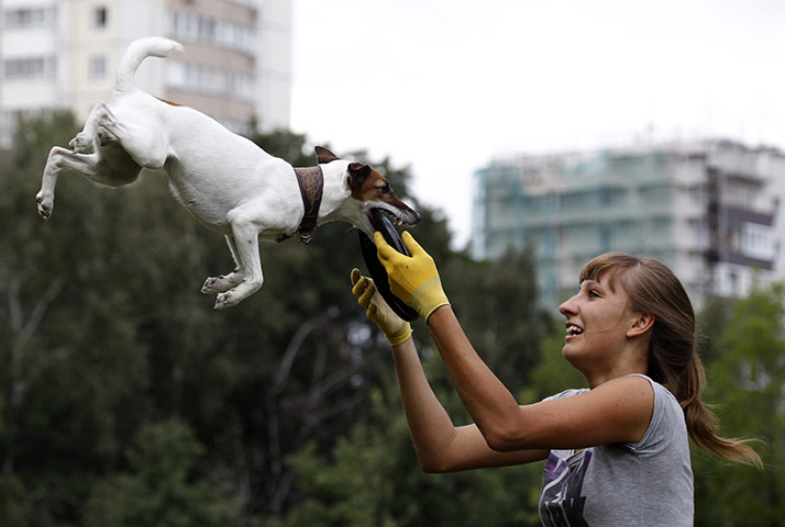24 hours in pictures: Russian dog frisbee championship