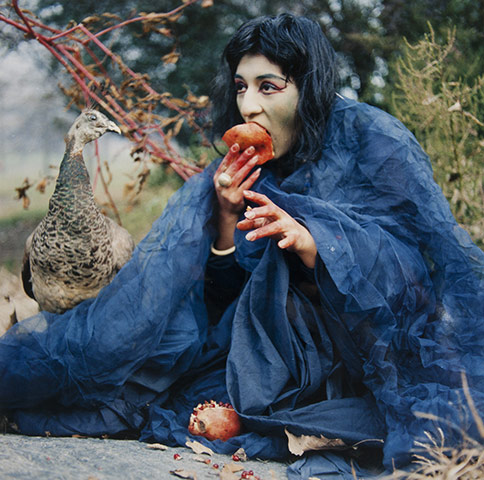 Exhibitionist 0309: Jack Smith