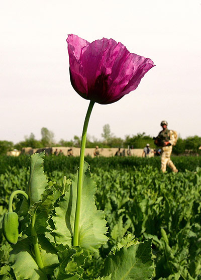 9/11 Books: Best 9/11 Books