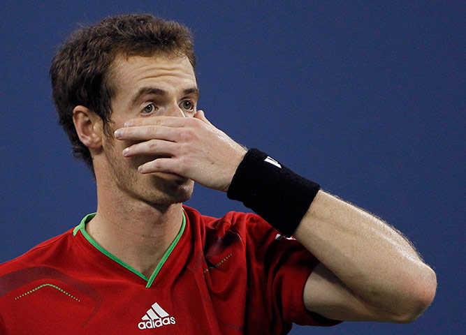 tennis4: Andy Murray