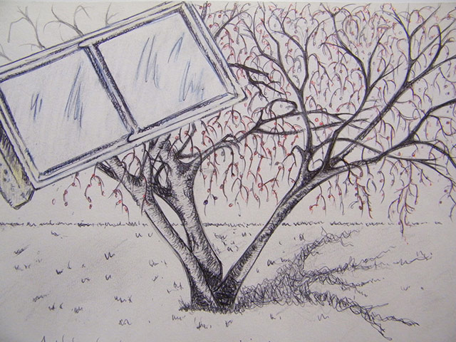 CoolTan: John Raithby - A Window on Life