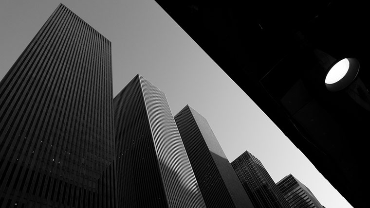 Camera Club: Peter C Gray