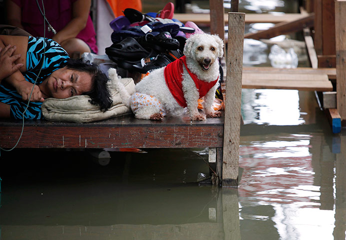 24 hours in pictures: A woman and a dog rest outside a flooded house in Thailand