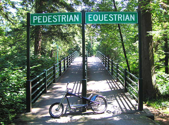 Weekend Readers' pictures: bridge by Clive Andrews