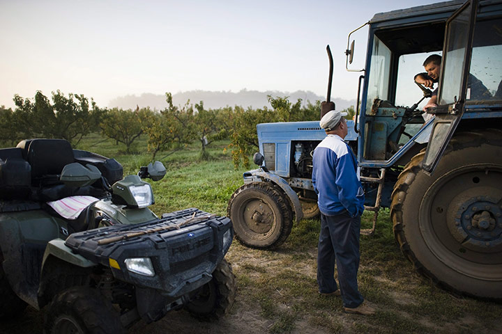 FTA: Attila Balazs: Farm-owner Bela Szakacs briefs one of his drivers about the day's work