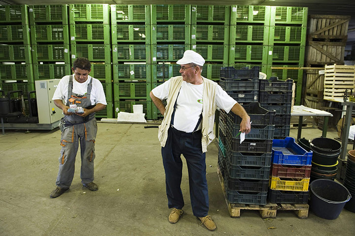 FTA: Attila Balazs: Shift-manager and farm-owner speak at the farm's cold warehouse