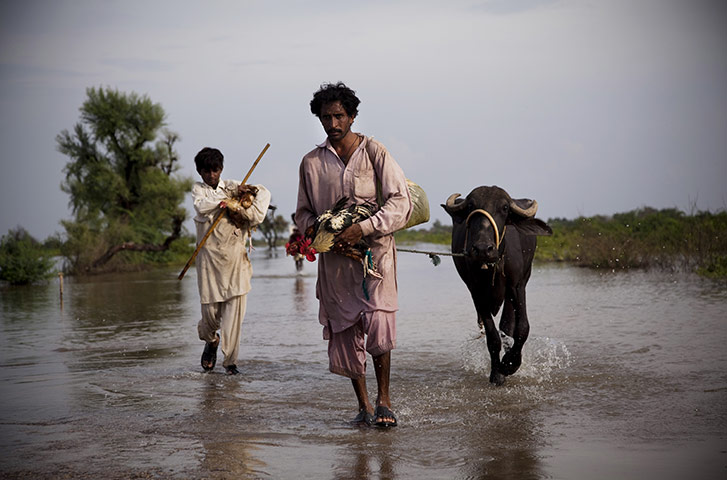 Floods in Pakistan: monsoons bring more misery