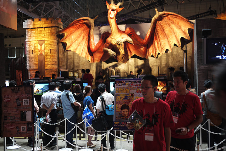 Tokyo Game Show 2011: P1050383