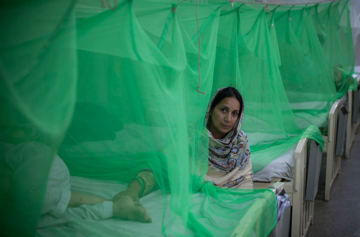 24 hours in pictures: A Pakistani woman sits with her son who is suffering from dengue fever
