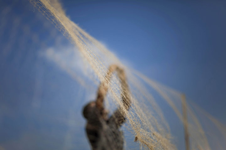 24 hours: Netzarim, Gaza Strip: A Palestinian untangles a net to trap migratory birds